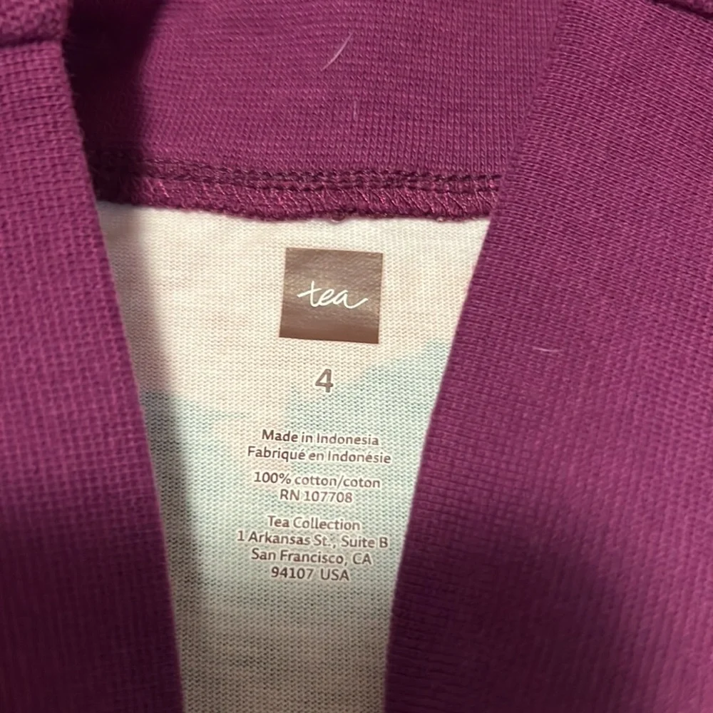 5 items total. 2 Tea dresses, 1 Hanna Anderson, 1 Gap, 1 The Children’s Place. - Picture 11 of 14